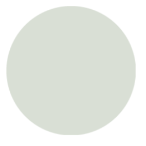 P239 Salt Air